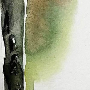 obra-conexão
